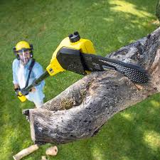 Best Lawn Mowing Services  in Goose Creek Village, VA